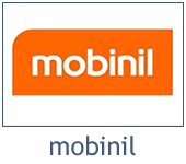 mobinil wireless network